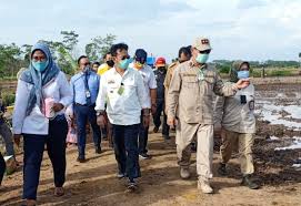 We did not find results for: Setda Prov Kalteng Kalteng Terima Bantuan Alsintan Senilai 379 Miliar Dari Kementan