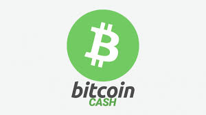 Ever since it gained prominence, bitcoin is thought of as a currency that is eventually going to replace fiat currencies, which is another name for traditional, government currencies like us dollars and euros. What Is Bitcoin Cash A Comprehensive Guide To Understanding Bitcoin Cash