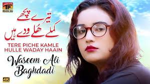 Tere Piche Kamle Hulle Waday Haain