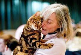 Are Bengal cats dangerous?