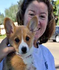 Helping Franklin overcome allergies