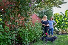 We did not find results for: 5 Questions To Ask When Hiring A Landscaper Splendid Gardens Llc