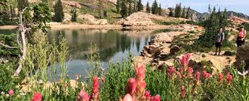 Dwf salt lake city wholesale florist. Watershed 101 Why Salt Lake City S Snow Tastes So Delicious Ski Utah