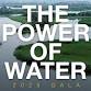 The Power of Water Gala — Jersey City Birds event image