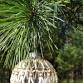 Beaded Globe Ornaments event image
