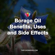 Borage Oil Benefits Uses And Side Effects Borage Oil Benefits Borage Oil Jojoba Oil Benefits