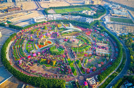 We did not find results for: Dubai Miracle Garden Reopens Today With New Attractions News Khaleej Times