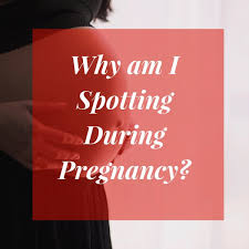 According to one study , about 20 percent of women have candida. An Explanation Of Bleeding Spotting During Pregnancy Wehavekids Family