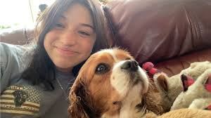 Pet sitter available in Espanola until August