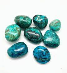 Image result for Chrysochloa