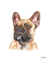 It is as simple as uploading a photo and providing any special notes to our. Janice Nelson Designs Custom Watercolor Pet Portrait