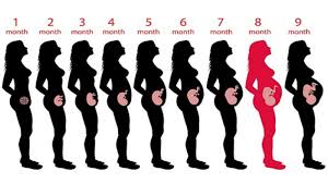 t plan for 8th month pregnancy