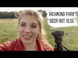 Richmond Park Deer Rut Vlog 2020