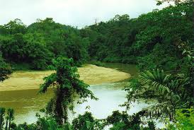 Taman negara is a national park in peninsular malaysia. Into The Jungle Day 1 Taman Negara Long Distance Walks With Mark Moxon