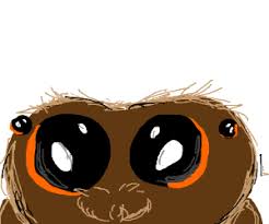 For boys and girls, kids and adults, teenagers and toddlers, preschoolers and older kids at school. Lucas The Spider Drawception