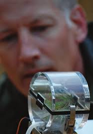 ANNUAL REPORT 2011/12