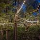 TreEscape Aerial Adventure Park Night Climb