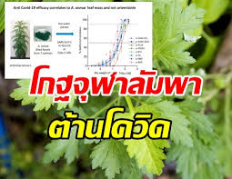 Maybe you would like to learn more about one of these? 46fwersrpx 7nm