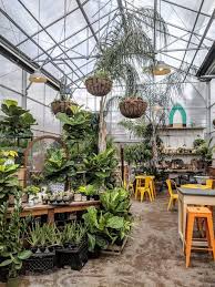 Maypop Coffee And Garden Shop In St Louis Indoorgarden Garden Shop Store Decor Upscale Furniture