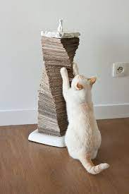 Pin On Pets