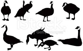 Black And White Silhouette Goose Decoys Canadian Goose Silhouette Google Search Stuffed Animal Patterns Waterfowl Hunting Silhouette