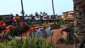 The provident rays of dawn bangalore is being developed by the provident. Goodearth Malhar Youtube