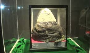 Masuk tahun 2009 langkah mewujudkan pendirian museum semakin nyata. Dprd Probolinggo Minta Museum Rasulullah Ditutup
