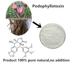 Image result for Podophyllotoxin