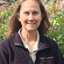 Temporary deputy forest supervisor starts