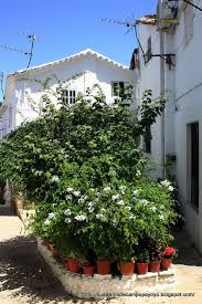 Pin En Arquitectura Popular