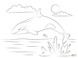The spruce / kelly miller halloween coloring pages can be fun for younger kids, older kids, and even adults. Orca Whale Coloring Page Coloring Home