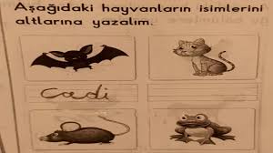 ﻿ sınavlarda verilen komik cevaplar :) 23 ekim 2012 salı, 07:00. Sinavlarda Verilmis Komik Cevaplar Youtube