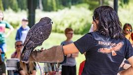 Raptor Encounter – Bear River State Park