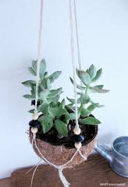 Composizioni di piante grasse piantare piante grasse piante di cactus piante da giardino piante da appartamento ecco per voi oggi una piccola selezione di 20 idee creative per realizzare una piccola fioriera in una cassetta di legno! Mary Mani Creative Hanging Garden Con Gusci Di Cocco Tutorial Decorazioni Vegetali Giardino Sul Balcone Gardenia