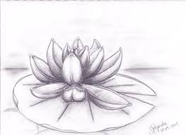 Water Lily By Sheyana Water Lily Drawing Lilies Drawing Lily Tattoo Design