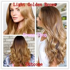 Portrait of a young brunette woman in red dress. Light Golden Brown With Oxidant 8 3 Bremod Hair Color Lazada Ph
