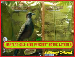 Manfaat pakan dan vitamin cerix pakan cerix : Manfaat Racikan Pakan Lovebird Dari Gold Coin Perkutut Beternakdirumah