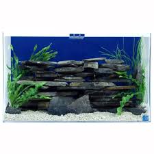 Freshwater Rockscape Aquarium Fresh Water Fish Tank Fresh Water