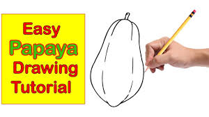 Papaya Drawing For Kids Step By Step Easy Drawing Tutorial Drawing Tutorial Easy Easy Drawings Drawing Tutorial Cute easy drawings ideas for kids! step by step easy drawing tutorial