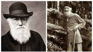 Fritz Müller e Charles Darwin: qual a relação entre eles?