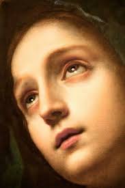 Ninfa Torres (ninfart)