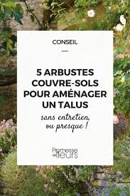 Un talus, un jardin en pente, un relief difficile à entretenir ? 5 Arbustes Couvre Sols Pour Amenager Un Talus Couvre Sol Arbuste Jardins