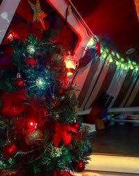 See top ideas and trending searches for christmas trees, lights, stockings, and more. Pictures Boats At Christmas Ybw