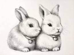 Animal Bunnys Couple Cute Drawing Illustr Lapin Original Pencil Rabbit Sketch Original Cute Bunny Drawing Bunny Sketches Pencil Drawings Of Animals
