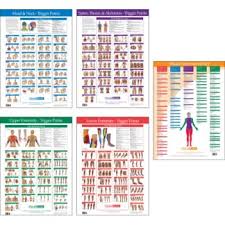 Joint Range Of Motion Muscle Movement Chart Kent Health