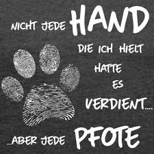 Pin Von Marleen Passgang Auf Manni Hund Zitat Hundespruche Katzen Zitate
