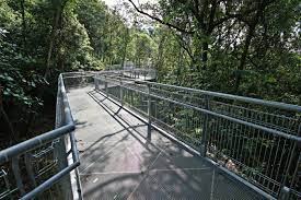 Telok blangah hill park is an excellent place for joggers, trekkers and fitness freaks. What To See Telok Blangah Hill Park Parks Nature Reserves Gardens Parks Nature National Parks Board Nparks