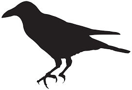 Crow Silhouette Png Clip Art Image Crow Silhouette Silhouette Art Crow Images