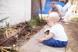 Image result for Pica