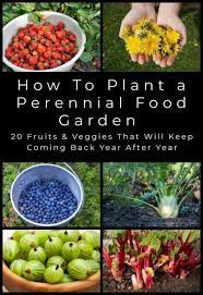 Plant These Fruits And Veggies Once And Harvest Their Delicious Bounty For Years And Years This Is The Per Food Garden Growing Vegetables Perennial Vegetables